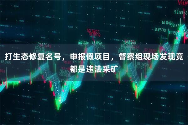 打生态修复名号，申报假项目，督察组现场发现竟都是违法采矿
